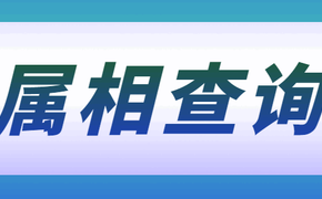 最新属猪,1972壬子鼠年出生的人是什么命?,易经网推荐【属猪】