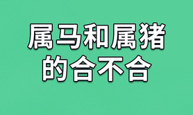 最新属蛇,女属猪不能接受对方是有原因的3大生肖,易经网推荐【属蛇】