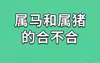 最新属蛇,女属猪不能接受对方是有原因的3大生肖,易经网推荐【属蛇】