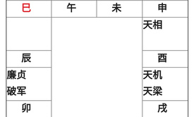 易经网推荐天府之有延寿制厄的性质，你知道几个？,紫微斗数2024