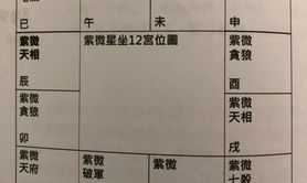 易经网推荐易师汇：紫微斗数入夫妻宫不利婚姻吗？,紫微斗数2024