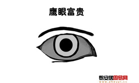 【面相眼睛】鹰眼面相图解,易经网推荐面相