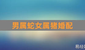 2024最新属相,十二生肖男女婚配禁忌接亲(猴的婚配属相蛇与猪),易经网推荐属相