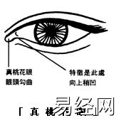 【面相眼睛】眼神、眼形、眼睛面相图解(4),易经网推荐面相