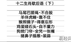 最新生肖,十二生肖谚语及答案,十二生肖 谚语 ,易经网推荐生肖