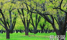 八字命理,2019年7月17号出生的男孩五行属什么,最新八字