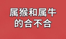 最新属猴,猴跟什么属相配风水堂：属猴的人,易经网推荐【属猴】