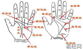 【女人手相】秒懂手相：什么样的人总是桃花朵朵开,易经网推荐女人手相