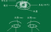 【面相眼睛】峰生水起面相学：第10课 眼睛看相,易经网推荐面相