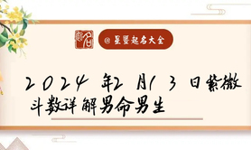 易经网推荐2024年2月13日男命紫微算命在线视频报道,紫微斗数