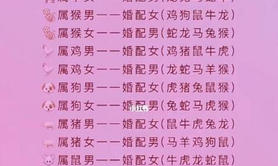 2024最新属相,鸡与马属相婚配怎样 属鸡和属马的婚配如何,易经网推荐属相