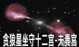 易经网推荐紫微风水堂：紫微星坐夫妻宫的重要性,紫微斗数2024