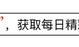 属虎,哪一年的生肖虎人事业、桃花运最强？CX-50到底多硬核,易经网推荐【属虎】