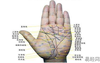 【最新手相】手掌纹很短，智慧线很短手相分析,易经网最新推荐手相