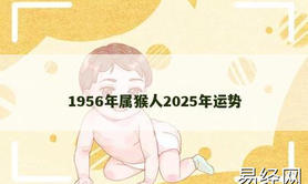 【属猴】1956年属猴人2025年运势,2024生肖猴