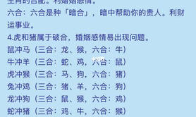 【生肖配对】生辰八字测配偶属相 生辰八字免费测试配偶长相,易经网推荐属相