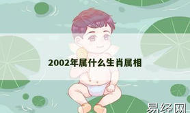 【2024生肖】2002年属什么生肖属相,易经网推荐