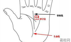【最新手相】掌紋有田字紋的特征以及運勢分析,易经网最新推荐手相