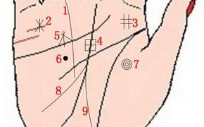 【手相岛纹】「男左女右定律」——手相中的九大财富纹，你拥有几条？,易经网推荐手相岛纹
