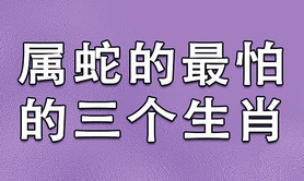 最新属蛇,蛇年与虎年的人相冲吗？与寅虎的关系,易经网推荐【属蛇】