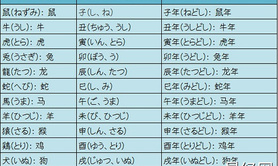 2024属牛,属牛和属虎的人配不配的问题有哪些,易经网推荐【属牛】