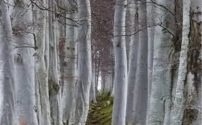 宝宝起名,生辰八字五行缺水怎么取名,易经网推荐