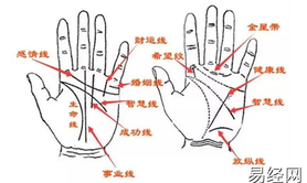 【断掌手相】你知道非常难得的十大吉祥手相女是什么吗？,易经网推荐断掌手相