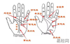 【断掌手相】你知道非常难得的十大吉祥手相女是什么吗？,易经网推荐断掌手相