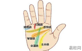 【最新手相】長壽型手相，生命躰質很好,易经网最新推荐手相