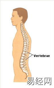 最新梦见脊椎 背脊是什么意思？周公解梦大全查询免费,易经网推荐解梦