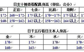 婚姻姻缘,八字知识之二十六：看配偶身材,2024最新婚姻姻缘