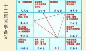 易经网推荐如何通过紫微斗数的财帛宫预测收益？,紫微斗数2024