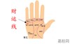 【女人手相】手掌财运线是哪一条？一起的小编一起了解下,易经网推荐女人手相