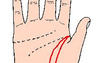 【手相生命线】风水堂：命理解析相法！,易经网推荐手相生命线