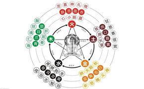 【面相基础】五行与五脏藏象是面相学的基础,易经网推荐面相