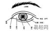 【面相眼睛】眼神、眼形、眼睛面相图解,易经网推荐面相