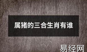 2024最新属相,2024处女座6月感情运势命理解析中国十大首富属猪男运(猪生肖运程命理解析),易经网推荐属相