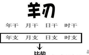 易经网推荐风水堂:八字羊刃格走财运的知识,紫微斗数2024