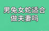 2024最新属相,生肖蛇和兔感情配吗 77年生肖蛇男2023年每月运势,易经网推荐属相