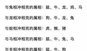 【生肖配对】月份属相也会相冲吗(月份与生肖相冲怎么办),易经网推荐属相