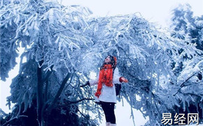 八字五行,2020年11月24日出生的女宝宝是什么命，命理五行结构如何查询,2024最新八字