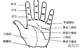 【最新手相】女生手掌紋算命解析,易经网最新推荐手相