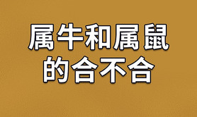 2024属牛,结合星座与生肖，筛选出与属牛领导匹配的最佳女秘书组合,易经网推荐【属牛】