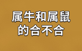 2024属牛,结合星座与生肖，筛选出与属牛领导匹配的最佳女秘书组合,易经网推荐【属牛】