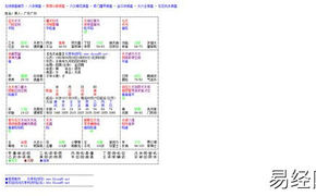 易经网推荐什么样的命理学最好？斗数命盘解析！,紫微斗数2024