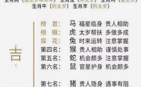 八字五行,2020年十二生肖排名 谁的运势最好,2024最新八字