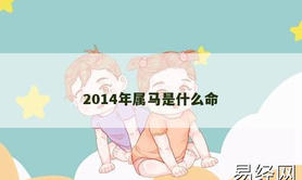 【属龙】2014年属马是什么命,2024生肖龙