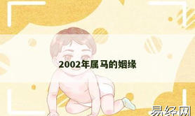 【属龙】2002年属马的姻缘,2024生肖龙