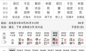 易经网推荐是什么意思当八字格局是「杀印相生」,紫微斗数2024