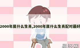 【2024生肖】2000年属什么生肖,2000年属什么生肖配对最好,易经网推荐